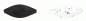 Preview: spro trout master spin spoon black n white